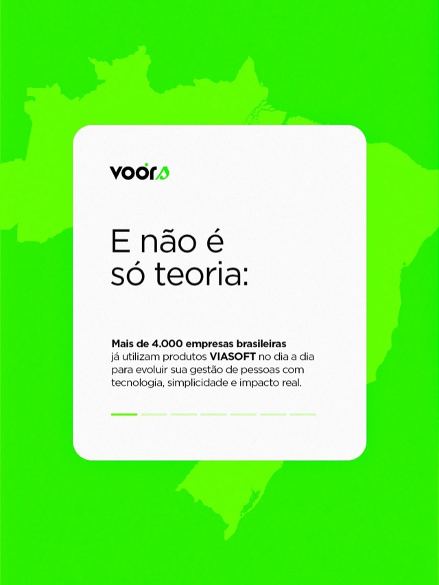 Viasoft Voors — peça 9