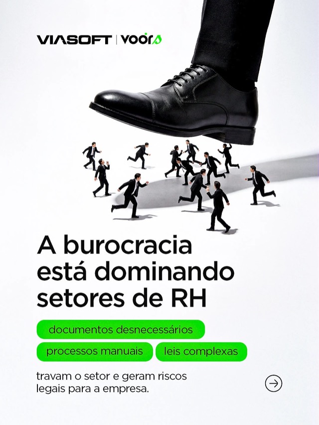 Viasoft Voors — peça 17