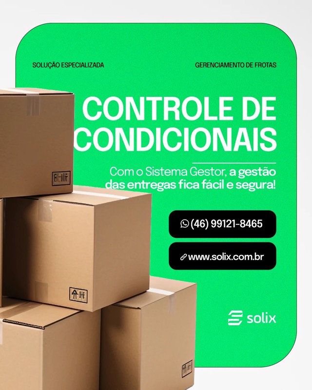 Solix — peça 15